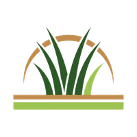 Palm Desert Artificial Grass Installation